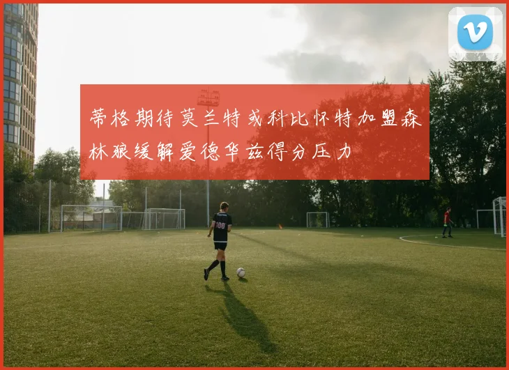 蒂格期待莫兰特或科比怀特加盟森林狼缓解爱德华兹得分压力