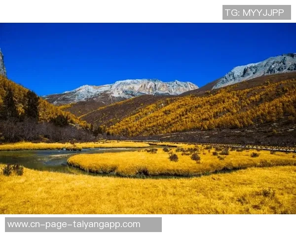 亚马尔社交媒体分享诺坎普夕阳美景预示着一个难忘的夜晚即将开启